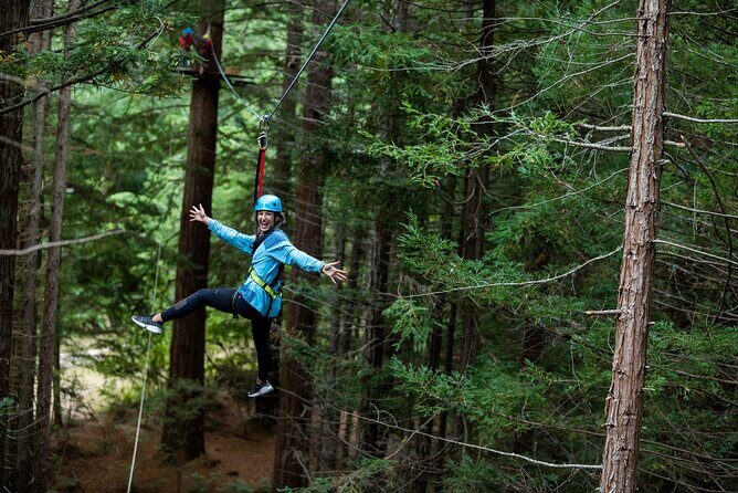 Rotorua: Redwoods Adventure 3-Hours - Key Points