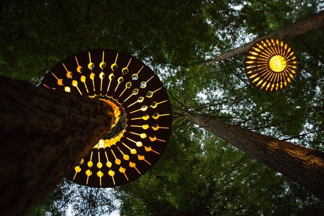 Rotorua: Redwoods Adventure 3-Hours - The Value Proposition