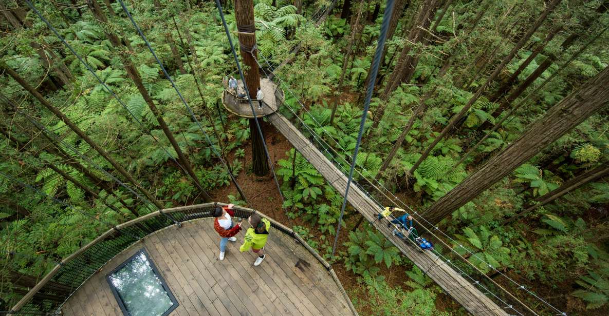 Rotorua: Redwoods Altitude & Day/Night Treewalk Combo - Key Points