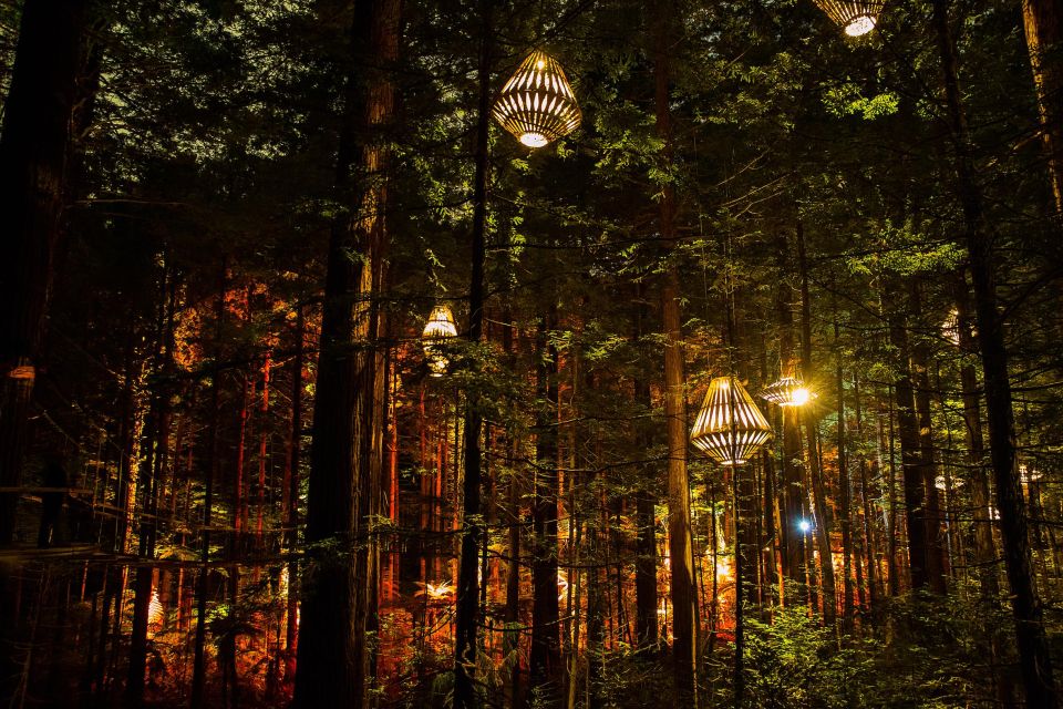 Rotorua: Redwoods Altitude & Day/Night Treewalk Combo - Safety and Risk Disclosure
