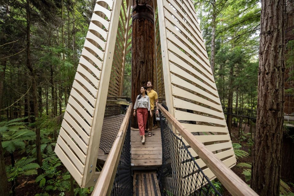 Rotorua: Redwoods Altitude & Day/Night Treewalk Combo - Booking Information