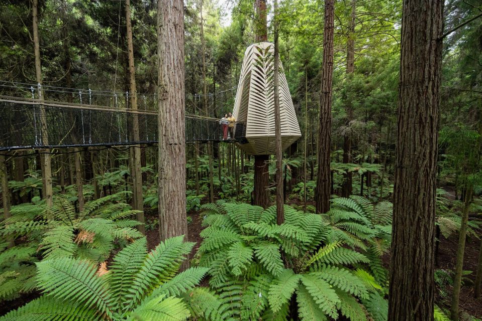 Rotorua: Redwoods Altitude & Day/Night Treewalk Combo - Participant Requirements