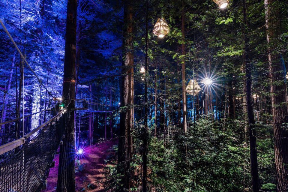 Rotorua: Redwoods Altitude & Day/Night Treewalk Combo - Day Treewalk Experience Details