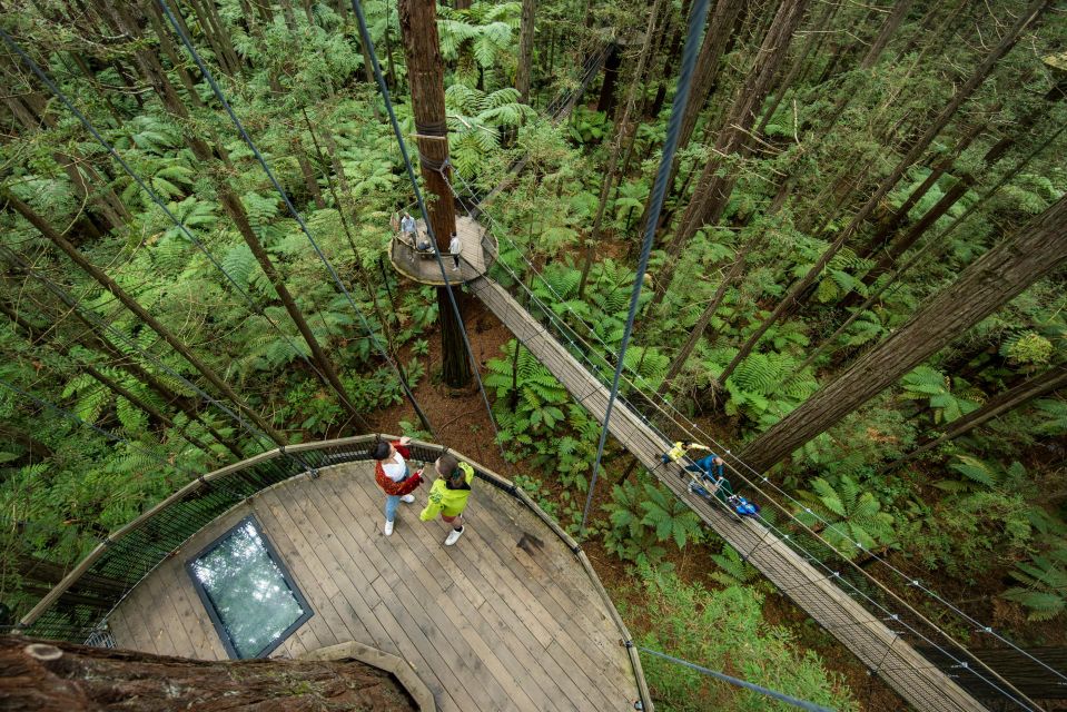 Rotorua: Redwoods Altitude & Day/Night Treewalk Combo - Frequently Asked Questions