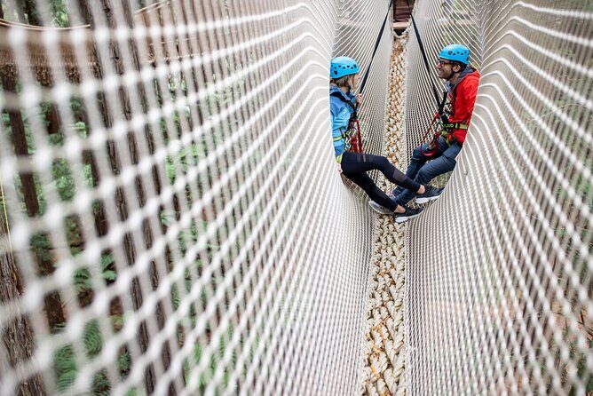 Rotorua: Redwoods Altitude High Ropes Adventure - An Overview of the Redwoods Altitude High Ropes Experience