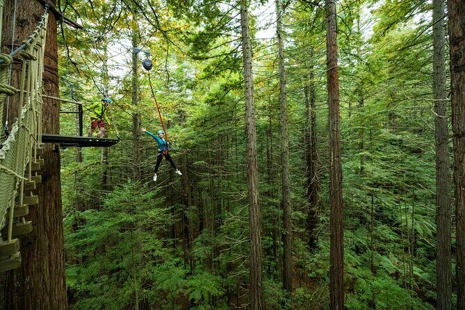Rotorua: Redwoods Altitude High Ropes Adventure - Final Thoughts