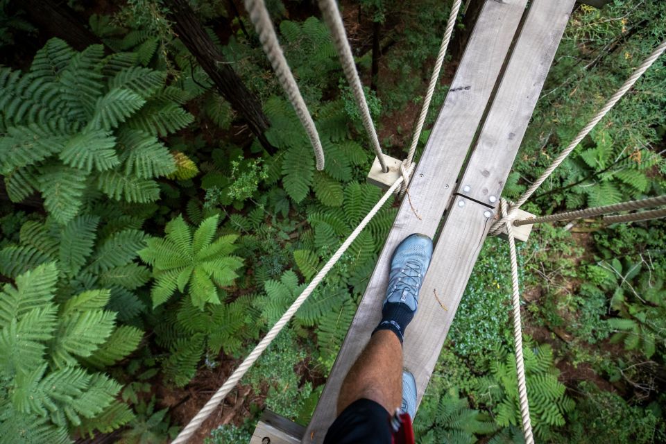 Rotorua: Redwoods Altitude High Ropes Adventure - Inclusions