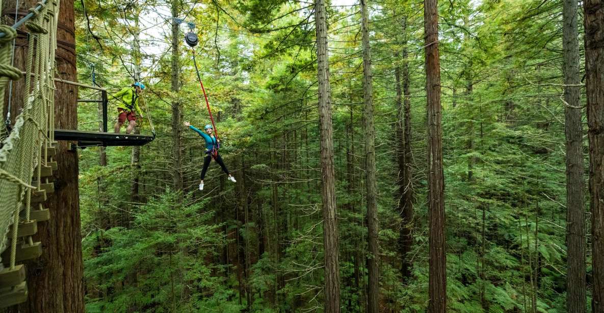 Rotorua: Redwoods Altitude High Ropes Adventure - Language and Group Size