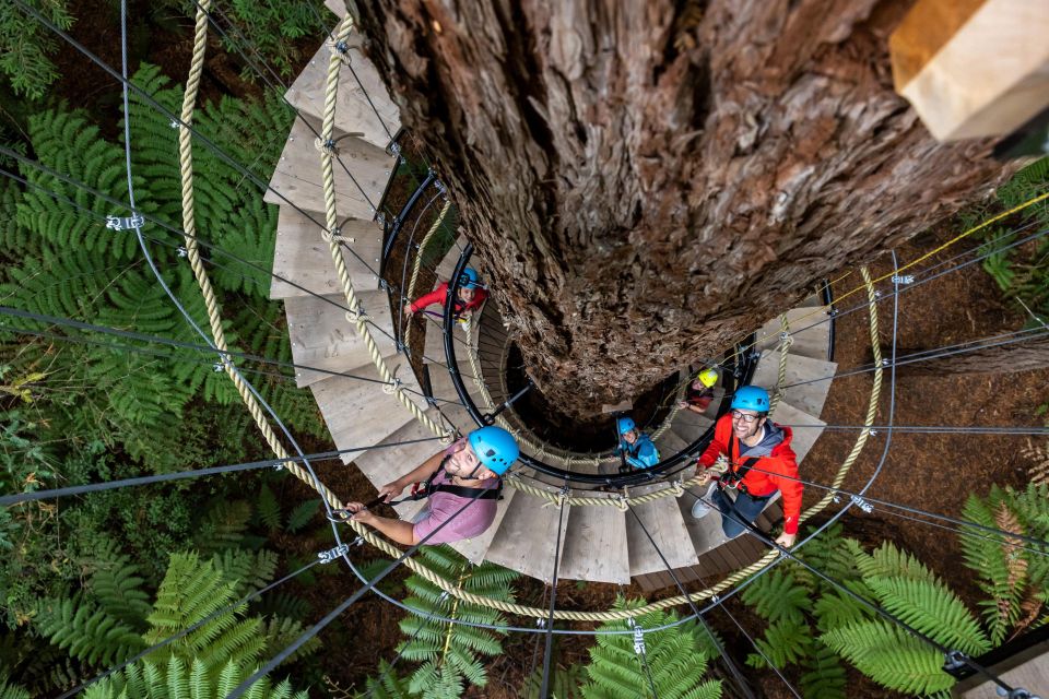Rotorua: Redwoods Altitude High Ropes Adventure - Frequently Asked Questions