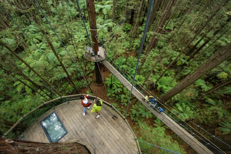 Rotorua: Redwoods Altitude, Nighttime Fast Pass, & Treewalk - What the Tour Includes