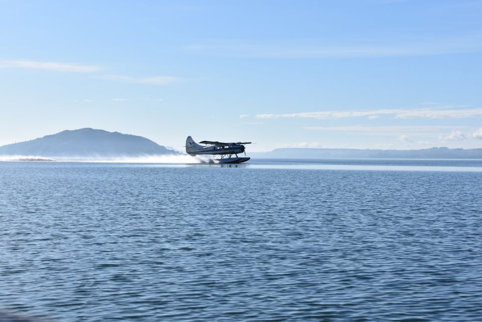 Rotorua: Scenic Flight Over Mt Tarawera & Waimangu Valley - Group Size and Language Options
