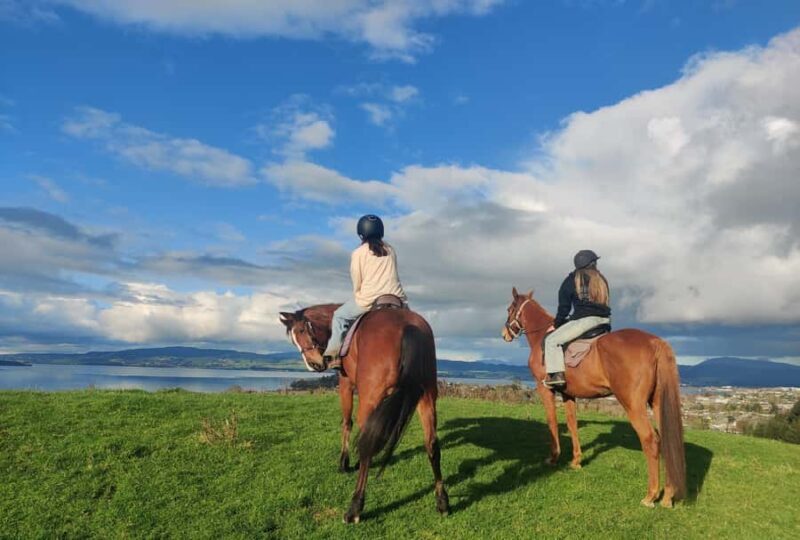 Rotorua: Scenic Horse Trek - Final Thoughts