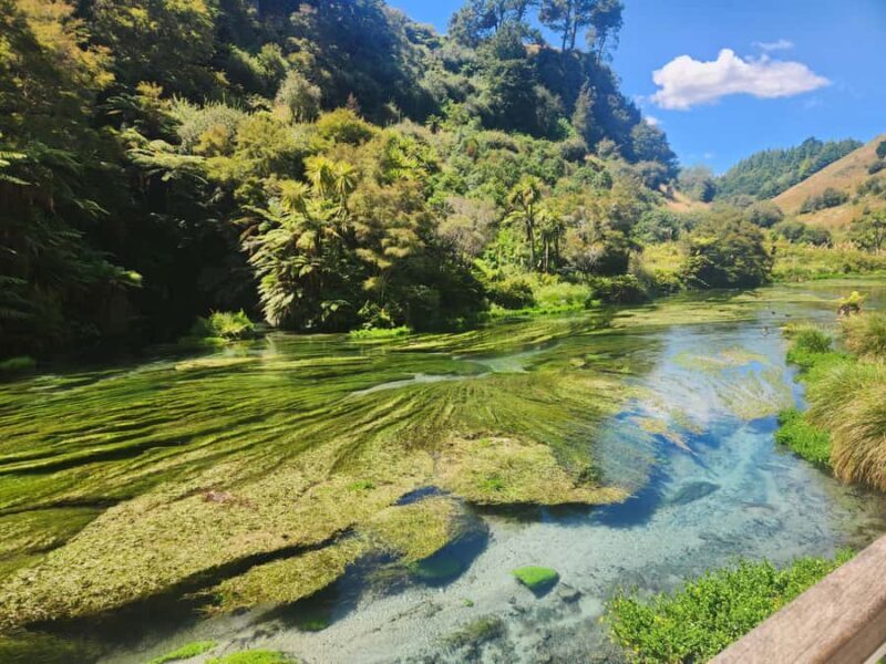 Rotorua & Taupo DayTour Waiotapu & Huka Falls from Auckland - Lake Taupo  