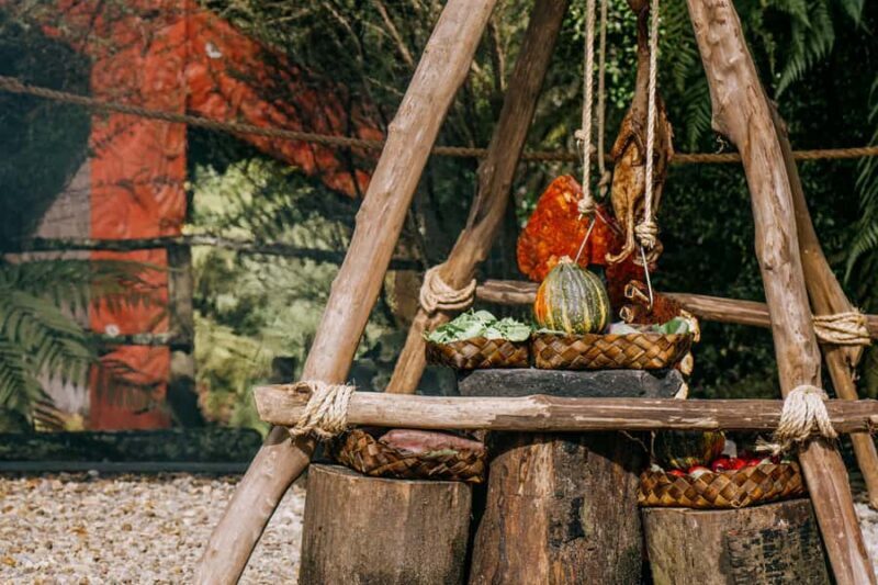 Rotorua: Te Pa Tu Mori Cultural Experience with Dinner - An Evening in the Forest: What to Expect