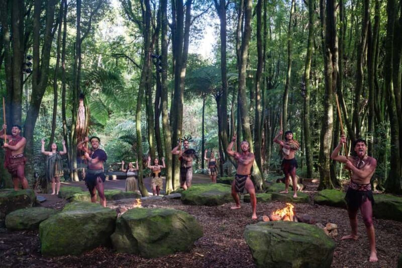 Rotorua: Te Pa Tu Mori Cultural Experience with Dinner - The Logistics: How It All Comes Together