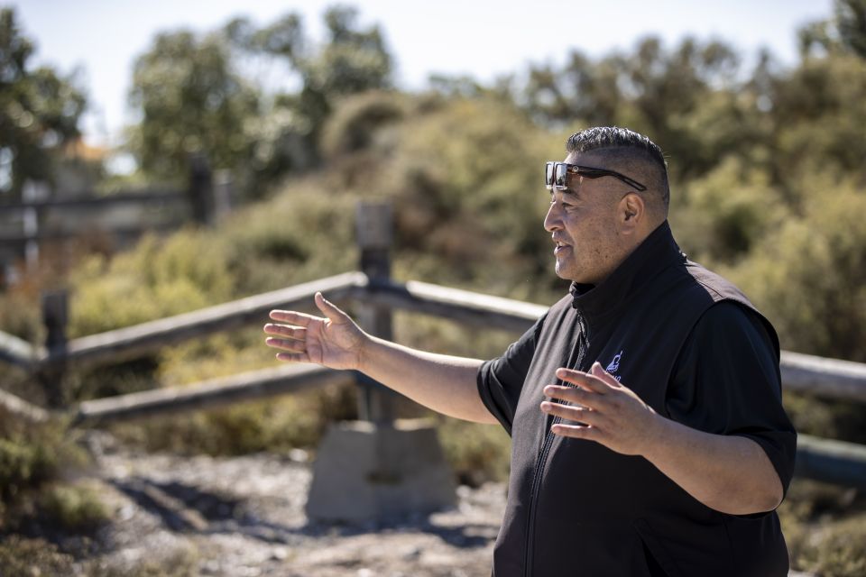 Rotorua: Te Puia Geothermal Valley Guided Tour With Tickets - Popular Tour Days
