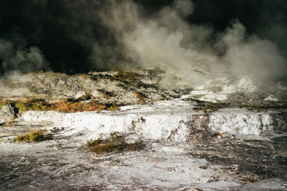 Rotorua: Te Puia Geyser Night Walking Tour - Inclusions and Meeting Point