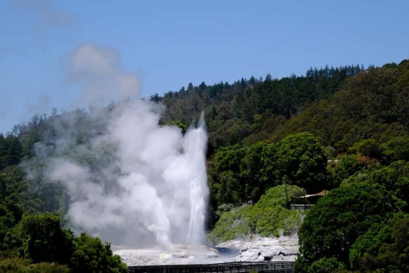 Rotorua: Te Puia Maori Village and Rejuvenation Tour - What Makes This Tour Stand Out
