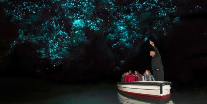 Rotorua to Auckland - Afternoon Transfer with Waitomo Caves - Rotorua to Auckland - Afternoon Transfer with Waitomo Caves: An Honest Look