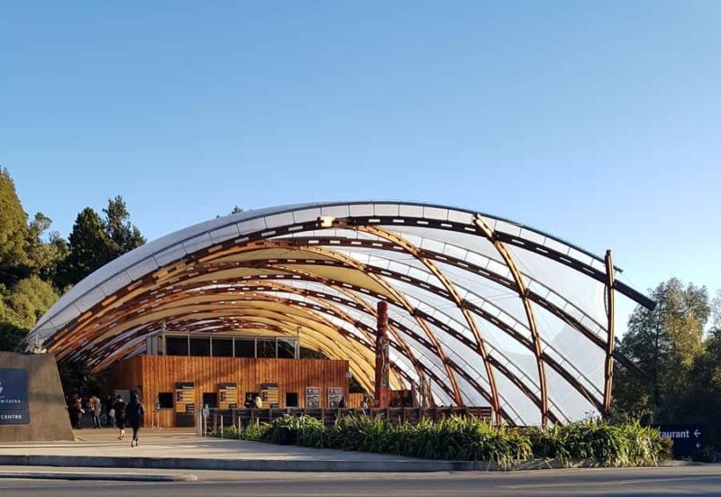 Rotorua to Auckland - Afternoon Transfer with Waitomo Caves - Why This Tour Offers Great Value