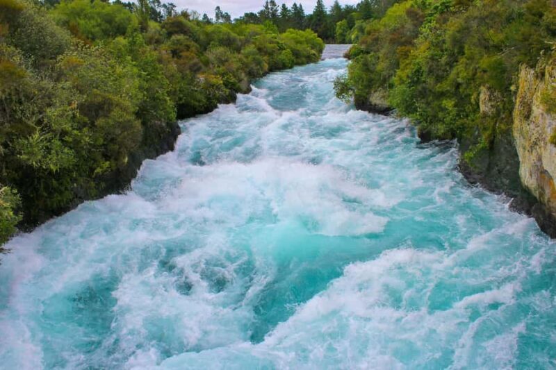 Rotorua: to Auckland via WaiOTapu, Taupo & Hamilton Gardens - Pricing and Value