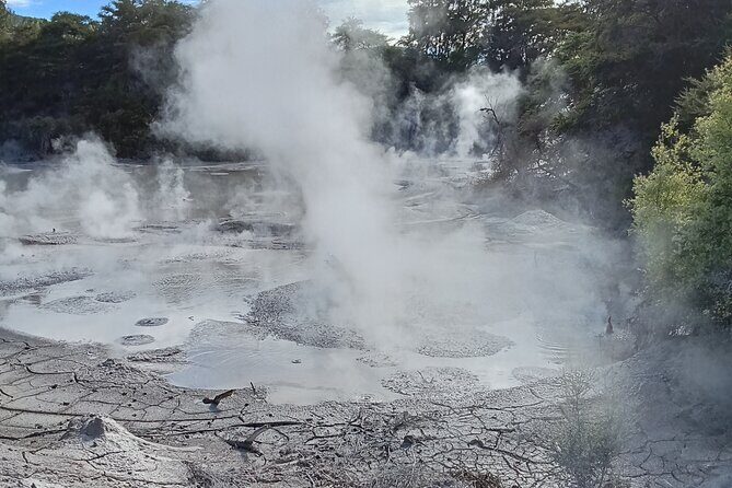 Rotorua to Wai-o-Tapu Thermal Wonderland Shuttle - The Sum Up