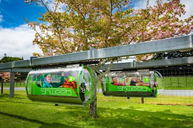 Rotorua: Velocity Valley - One Ride Pass - The Thrill of Rotorua’s Velocity Valley