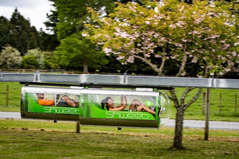 Rotorua: Velocity Valley - One Ride Pass - Who Should Consider This Experience?
