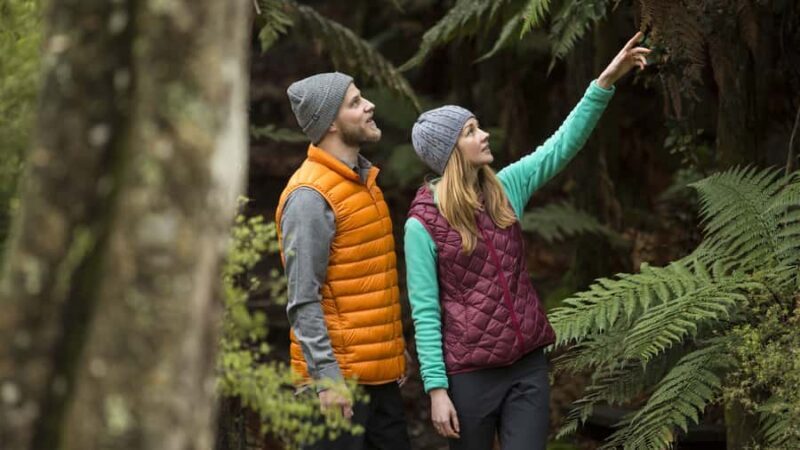 Rotorua: Waimangu Volcanic Valley Entry Ticket - Discovering Waimangu: A Natural Geothermal Wonderland