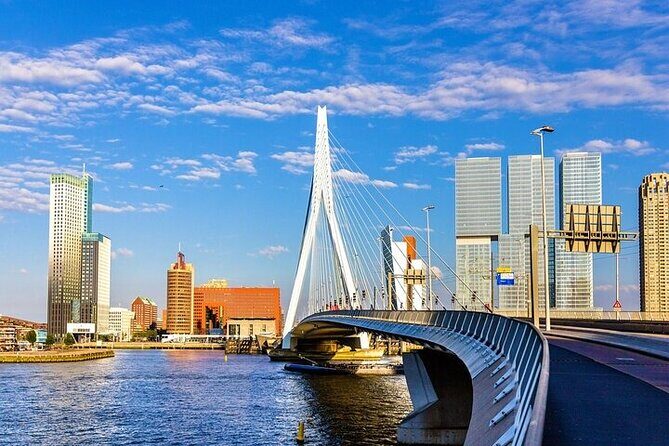 Rotterdam Architectural Walking Tour With A Guide (Private Tour) - Who Will Love This Tour?
