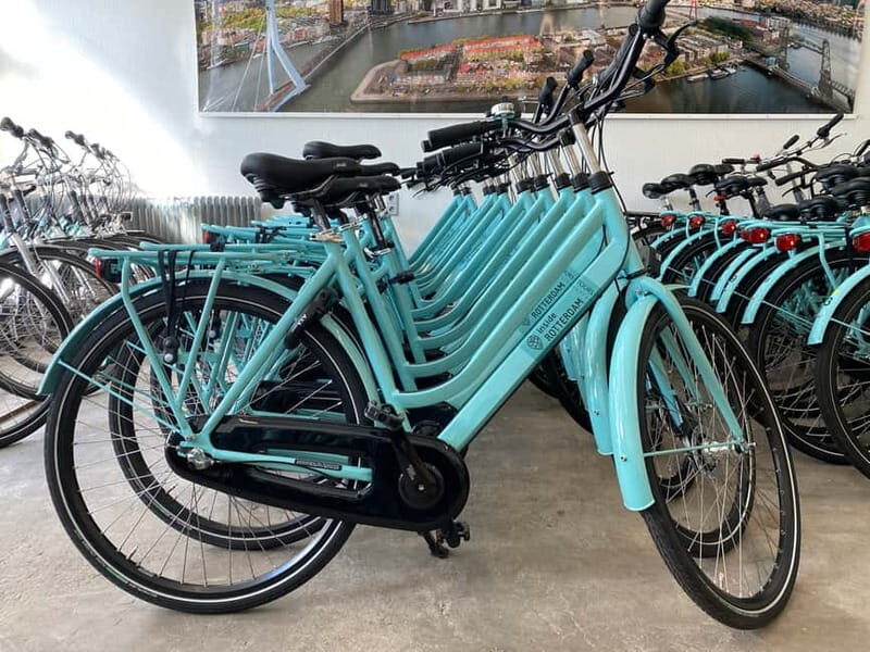 Rotterdam: City Highlights Guided Bike Tour - The Experience & Value