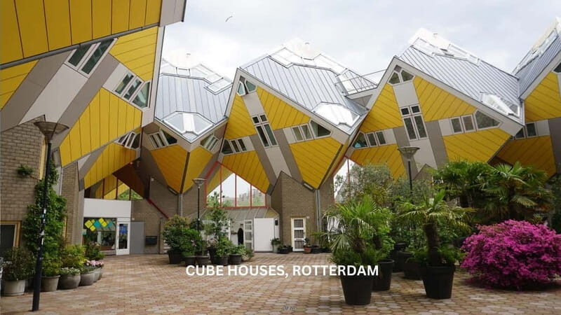 Rotterdam countryside on wheels - E-bike tour around city - The Experience in Reviews