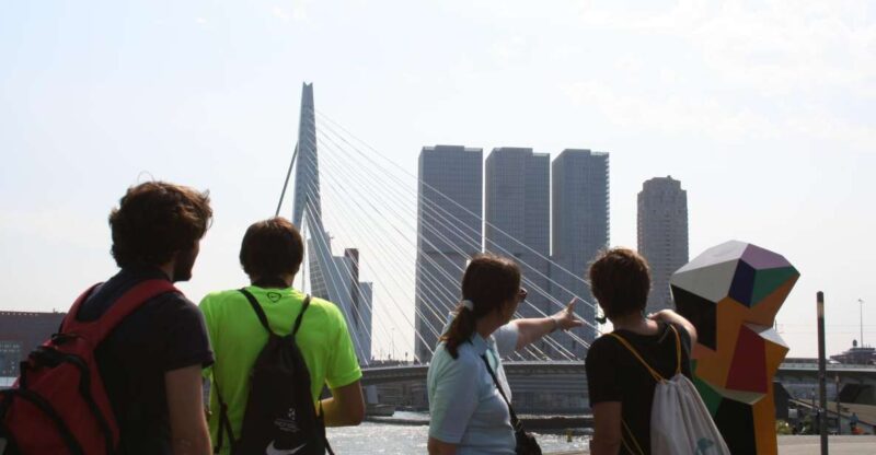 Rotterdam: Group Architecture Walking Tour Led by Architects - Good To Know