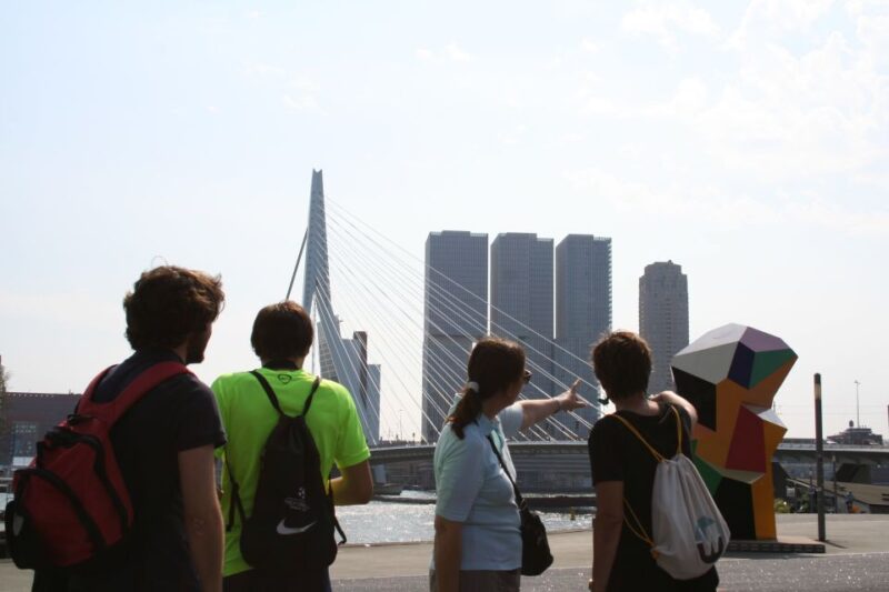 Rotterdam: Group Architecture Walking Tour Led by Architects - Meeting Point and Accessibility
