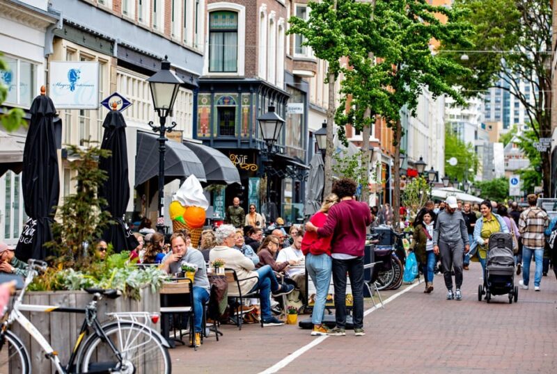 Rotterdam: Highlights Tour With Local Guide - Experience With a Local Guide