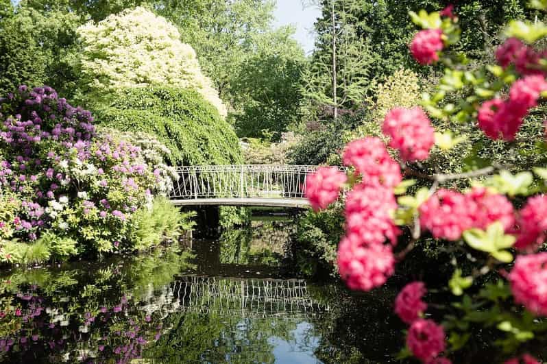 Rotterdam: Trompenburg Botanical Gardens Entry Ticket - Visitor Experiences Offered