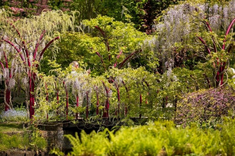 Rotterdam: Trompenburg Botanical Gardens Entry Ticket - Customer Ratings Overview