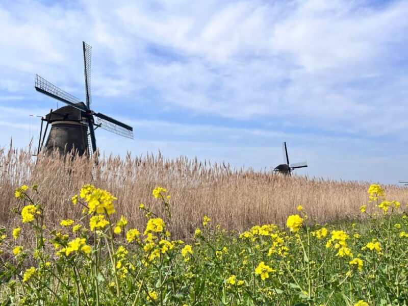 Rotterdam: Waterbus Ticket to Dordrecht And/Or Kinderdijk - Must-See Destinations