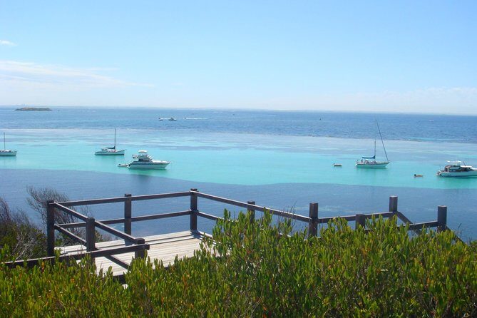 Rottnest Bayseeker Bus Tour from Hillarys Boat Harbour - The Itinerary in Detail: What to Expect