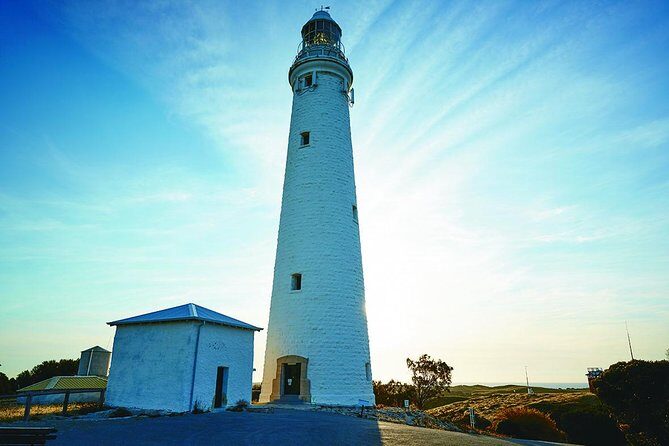 Rottnest Bayseeker Bus Tour from Hillarys Boat Harbour - Final Words: Who Is This Tour For?