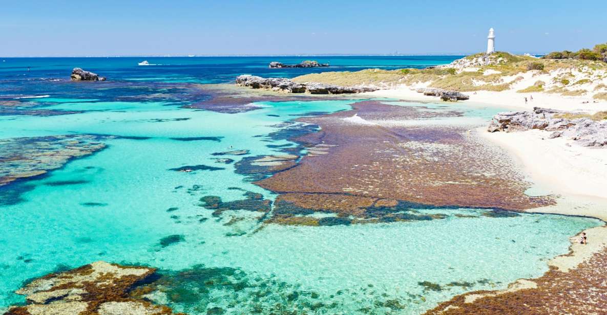 Rottnest Grand Island Package With Ferry, Tour & Light Lunch - Key Points