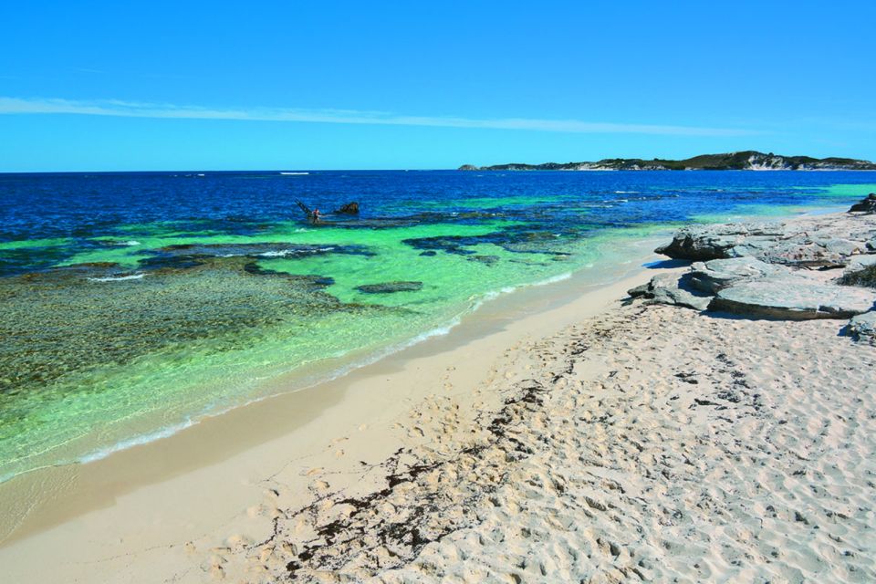 Rottnest Grand Island Package With Ferry, Tour & Light Lunch - Important Information
