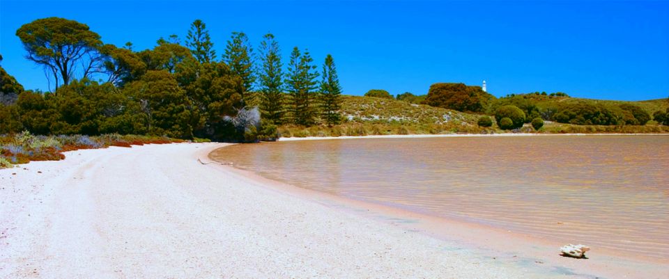 Rottnest Grand Island Package With Ferry, Tour & Light Lunch - Customer Feedback