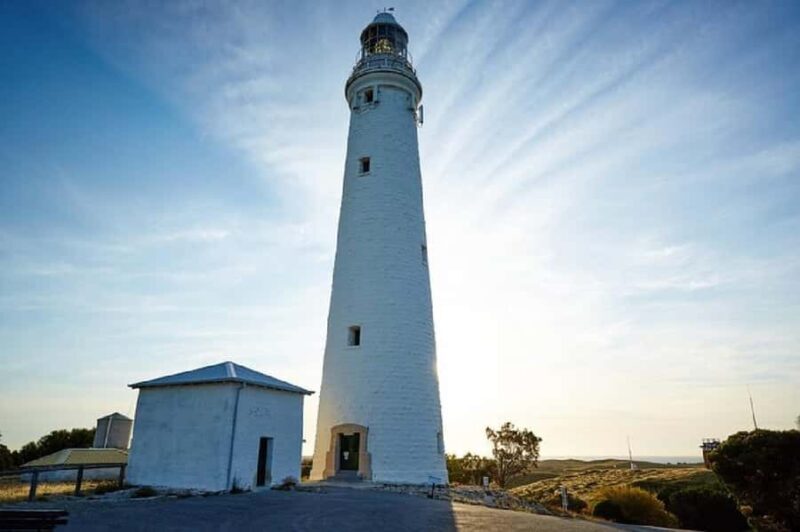 Rottnest Island 1.75 Hour Bayseeker Island Tour - Exploring Rottnest Island in a Nutshell