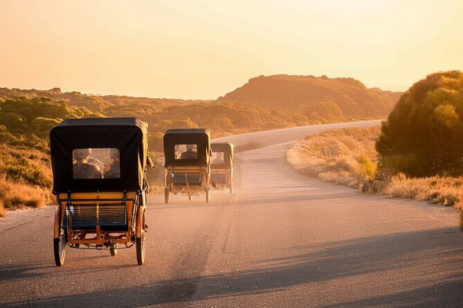 Rottnest Island 90-minute E-Rickshaw Adventure with Tour Guide - The Sum Up: Who Will Love This Tour?  