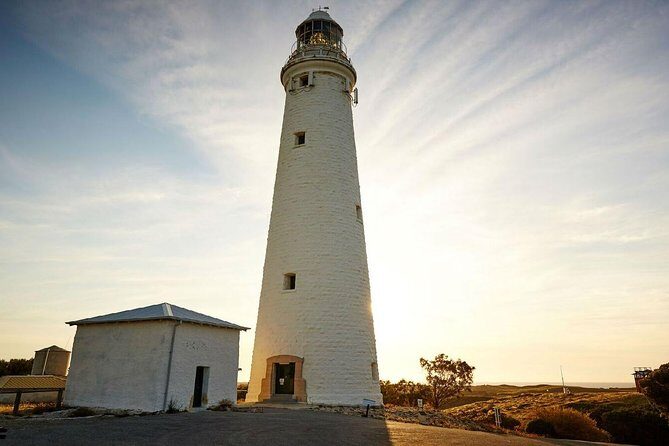 Rottnest Island Bayseeker Day Trip from Perth - What Do the Reviews Say?