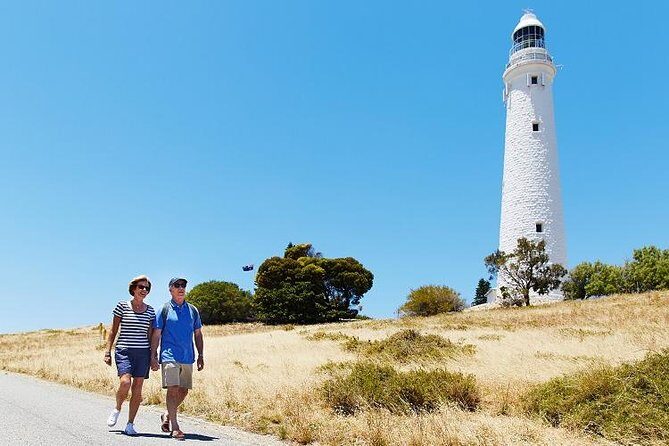 Rottnest Island Bayseeker Tour - Who Should Consider This Tour?
