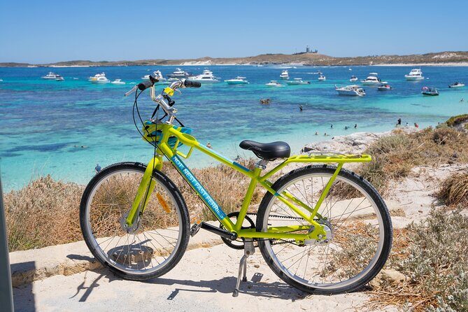 Rottnest Island Fast Ferry from Hillarys Boat Harbour Including Bike Hire - An In-Depth Look at the Experience