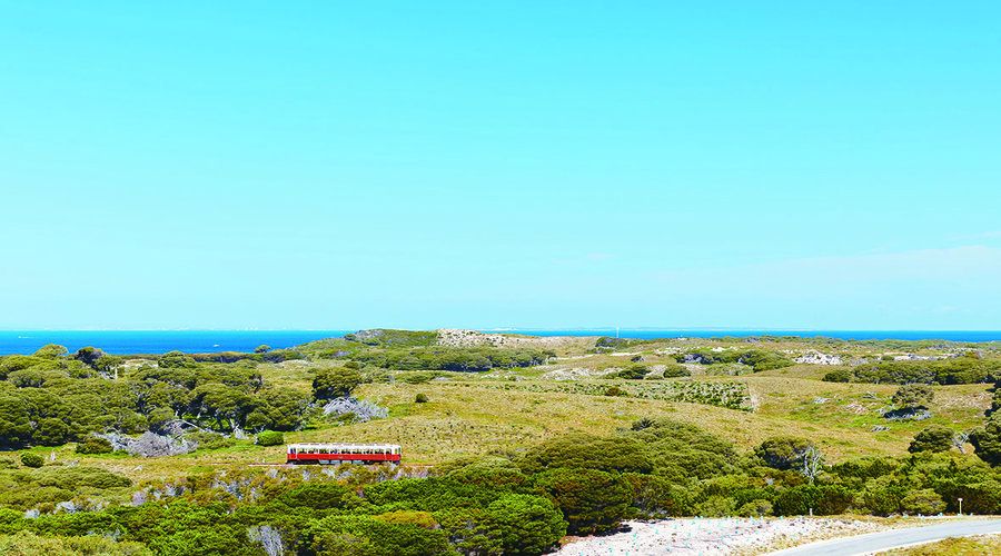 Rottnest Island Grand Bus & Train Tour - Key Points