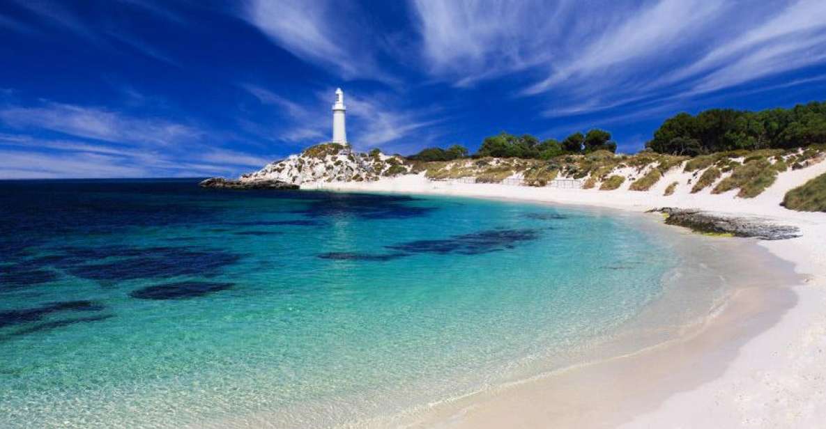 Rottnest Island Grand Bus & Train Tour - Important Information